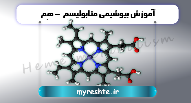 آموزش بیوشیمی متابولیسم - هِم