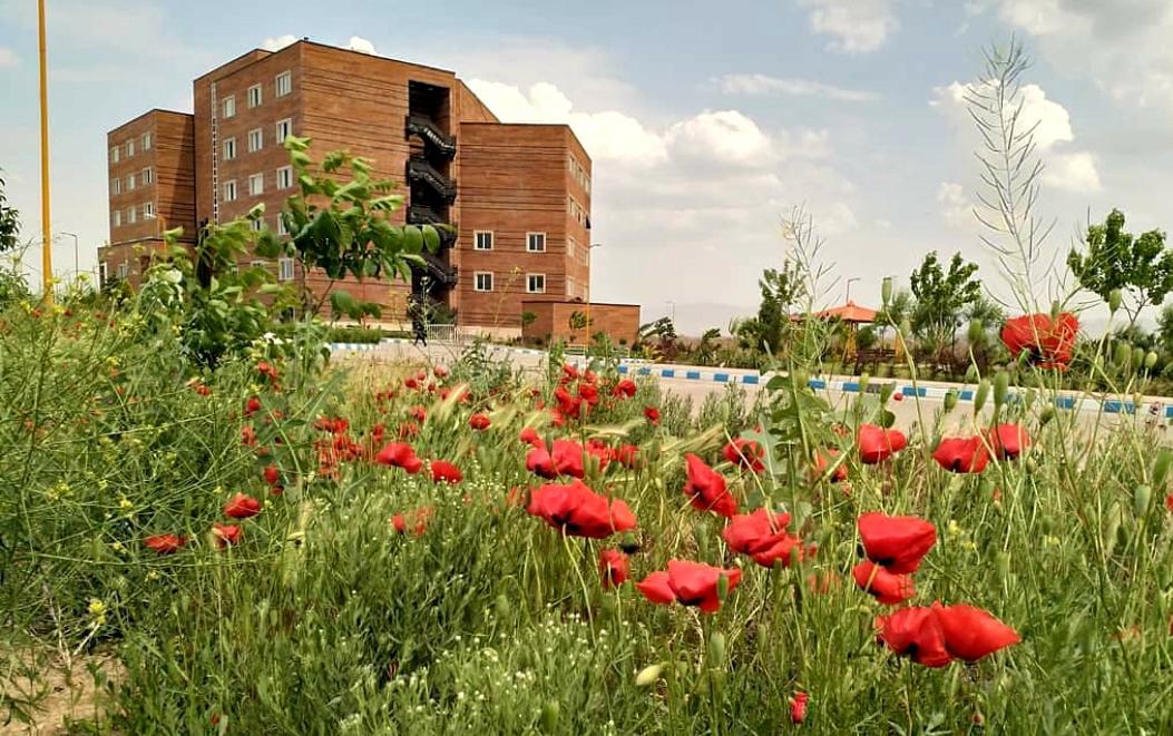دانشگاه آزاد اسلامی پردیس