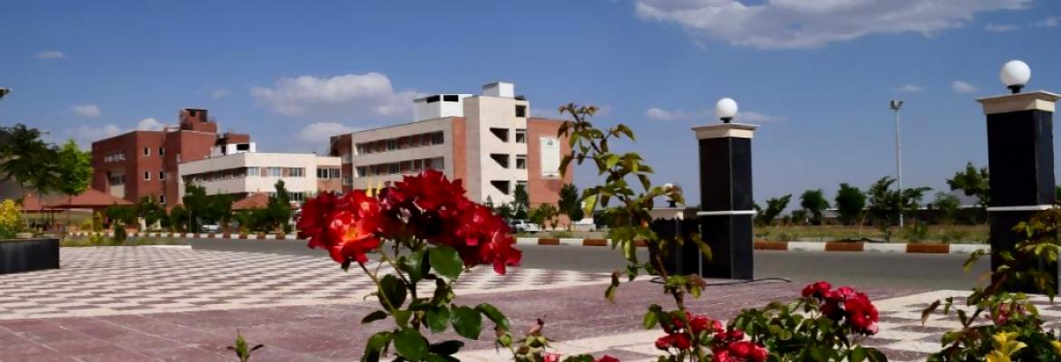 دانشگاه تربت حیدریه
